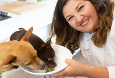 ¡Gratis! Primer libro de alta cocina para perros