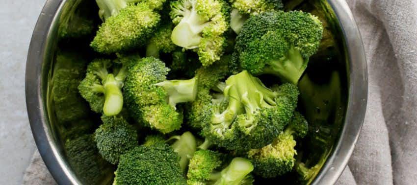 ¿Los perros pueden comer brócoli?